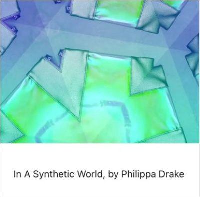 In a Synthetic World